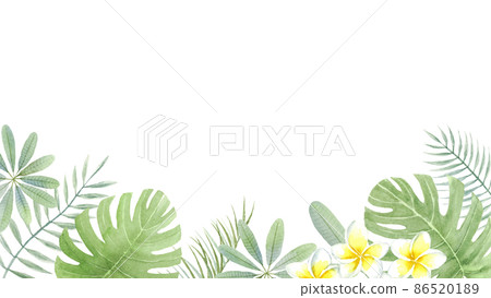 Background material for summer image Plumeria, palm leaves and monstera vector 86520189