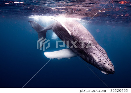 你的眼睛相遇的那一刻 86520465