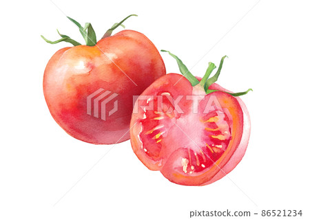Watercolor illustration of fresh ripe tomatoes. Tomatoes cut in half. (Vector. Layout can be changed) Watercolor illustration of fresh ripe tomatoes. Tomatoes cut in half. (Vector. Layout can be changed) 86521234