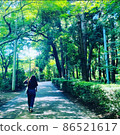 Full 86521617