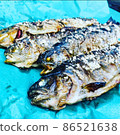 Fishing and eating 86521638