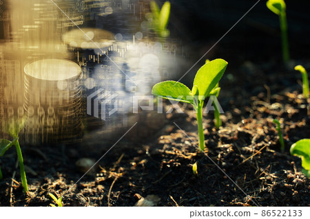 growing green seedling on soil with money stack and stock market index business investment background growing green seedling on soil with money stack and stock market index business investment background 86522133