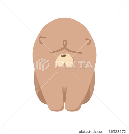 鬆獅犬圖 鬆獅犬圖 86522272