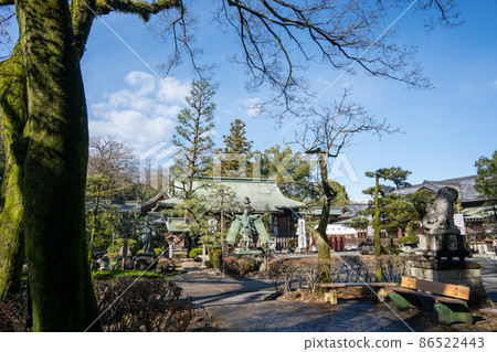 [Shizuoka Prefecture] Oi Shrine 86522443