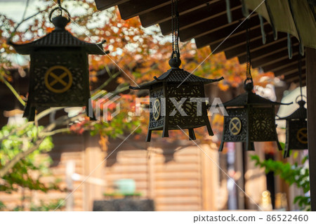 [靜岡縣]大井神社 86522460