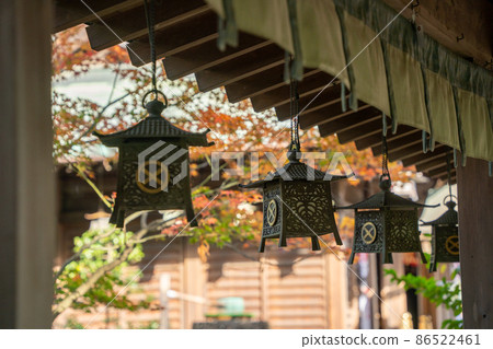 [靜岡縣]大井神社 86522461