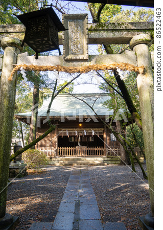 [Shizuoka Prefecture] Oi Shrine 86522463