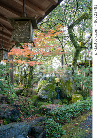 [Shizuoka Prefecture] Oi Shrine 86522483