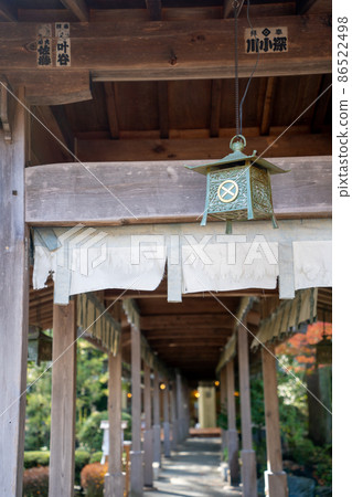 [Shizuoka Prefecture] Oi Shrine 86522498