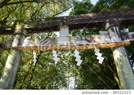 [Shizuoka Prefecture] Oi Shrine 86522523