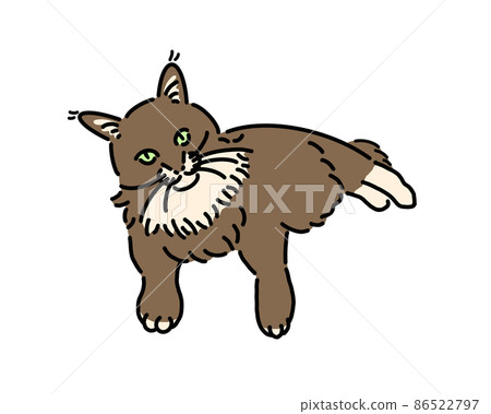 Pet cat maine coon Pet cat maine coon 86522797