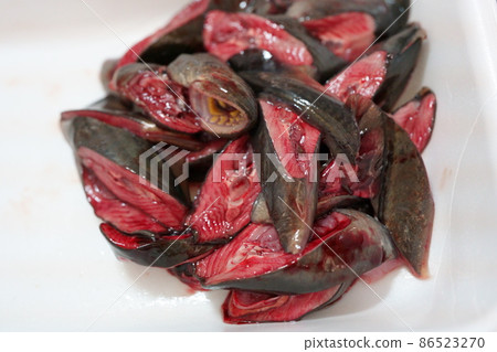 Lamprey fillet on a tray Lamprey fillet on a tray 86523270