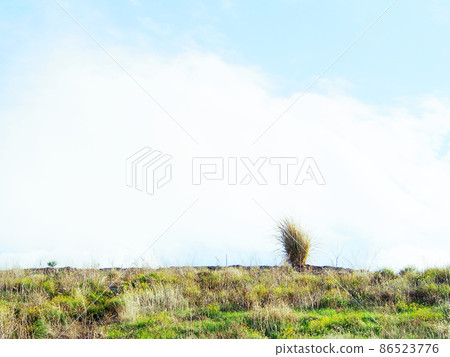 A murderous field 86523776