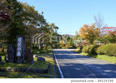 Tochigi Prefectural Forest 86524199