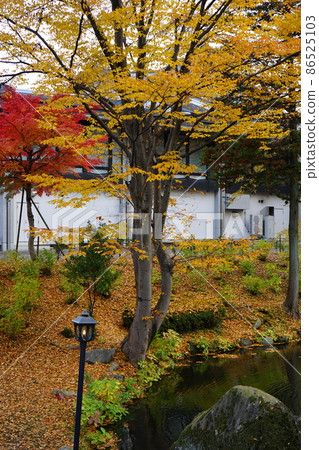 Autumn Morioka Castle ruins park Autumn Morioka Castle ruins park 86525103