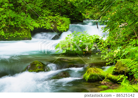 Towada City, Aomori Prefecture Summer Oirase Gorge-Ashura Rapids- 86525142