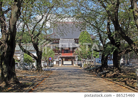 Daioji Temple (Fujimi) 86525460