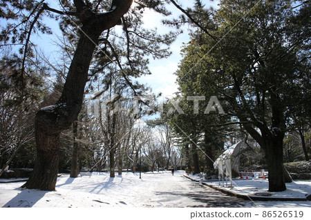 仙台市辻丘公園雪景 86526519