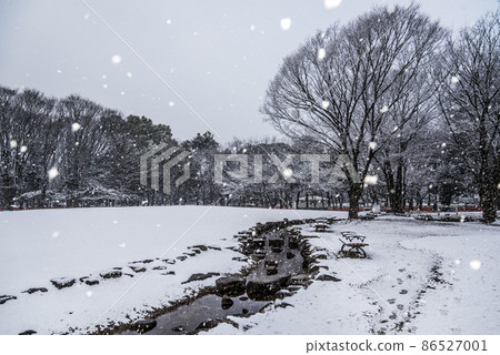 《愛知縣》名古屋市雪明城公園 《愛知縣》名古屋市雪明城公園 86527001