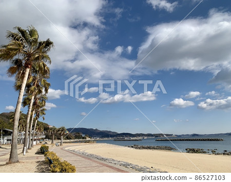 A row of palm trees at Miyazaki Beach [Kira Waikiki Beach / Kira Town, Nishio City, Aichi Prefecture] 86527103
