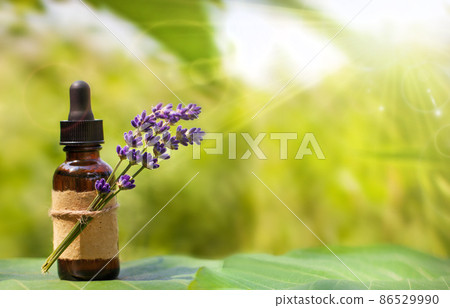 Lavender herbal oil and flowers, space for text. Lavender herbal oil and flowers, space for text. 86529990