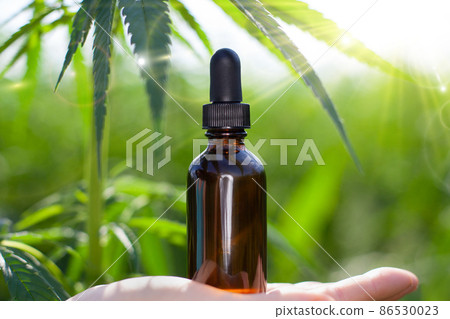 Concept of herbal alternative medicine, pharmaceutical industry 86530023