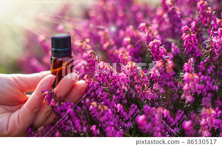 Dropper bottle on a background of flowers - phytotherapy 86530517