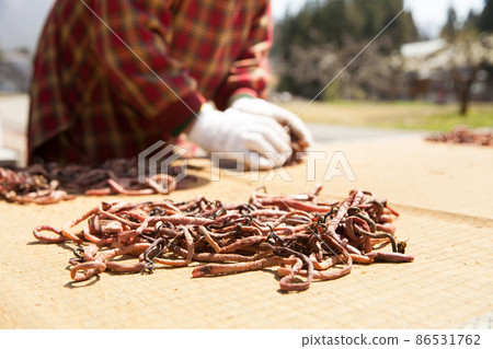 Dry the mainspring 86531762