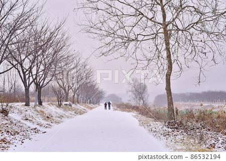 Field trail on a snowy day 86532194
