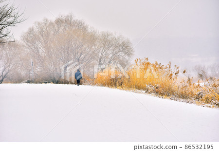 Field trail on a snowy day 86532195