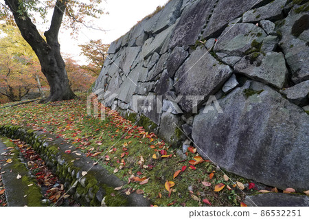 東北岩手紅葉 楓葉楓 岩手公園 86532251