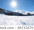 Snow scene 86532670