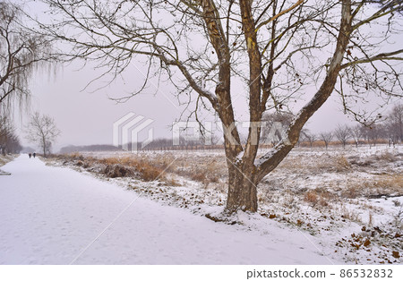 Field trail on a snowy day 86532832