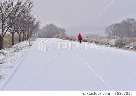 Field trail on a snowy day 86532833