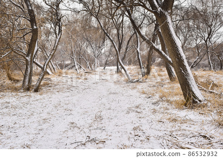 winter field on a snowy day winter field on a snowy day 86532932