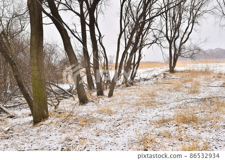 winter field on a snowy day winter field on a snowy day 86532934