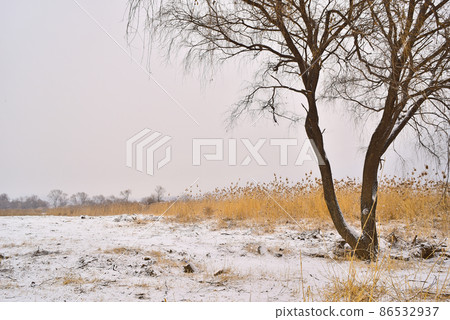 winter field on a snowy day winter field on a snowy day 86532937