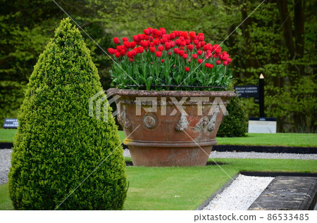 The garden of Blenheim Palace The garden of Blenheim Palace 86533485