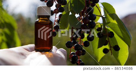Cherry extract, small amber bottle - natural vitamins and herbal medicine. Cherry extract, small amber bottle - natural vitamins and herbal medicine. 86534086