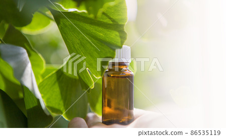 Outdoor ginkgo biloba leaves - place for your text 86535119