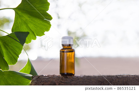 Bottle with ginkgo leaves - copy space. 86535121