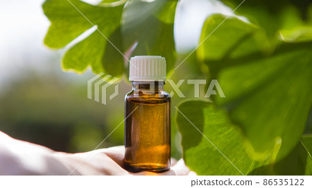 Ginkgo tree (Ginkgo biloba) or gingko with brightly - place for your text. 86535122