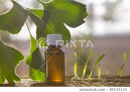 Fresh leaves ginko biloba essential oil - place for your text. 86535124