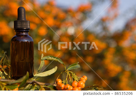 Sea buckthorn oil in a small bottle with berries. Sea buckthorn oil in a small bottle with berries. 86535206