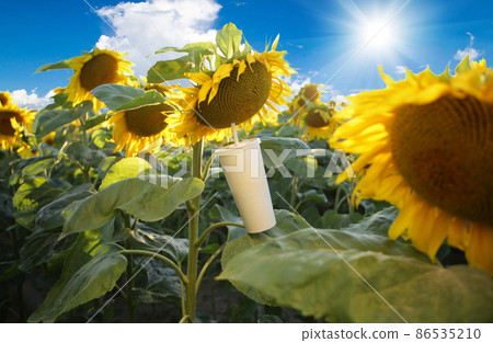 Cup with a straw and a sunflower flower, concept. 86535210