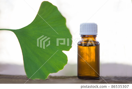 Fresh  big leaves ginko biloba essential oil. 86535307