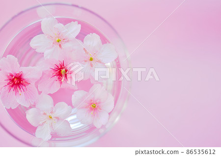 Sakura spring image sake 86535612