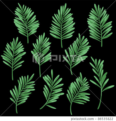Tropical Leaf Material Collection, 86535822