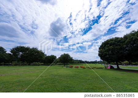 大宮大山公園(埼玉市) 大宮大山公園(埼玉市) 86535865