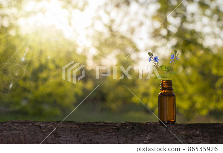 Essential oils and medical flowers herbs - copyspeace for text. 86535926